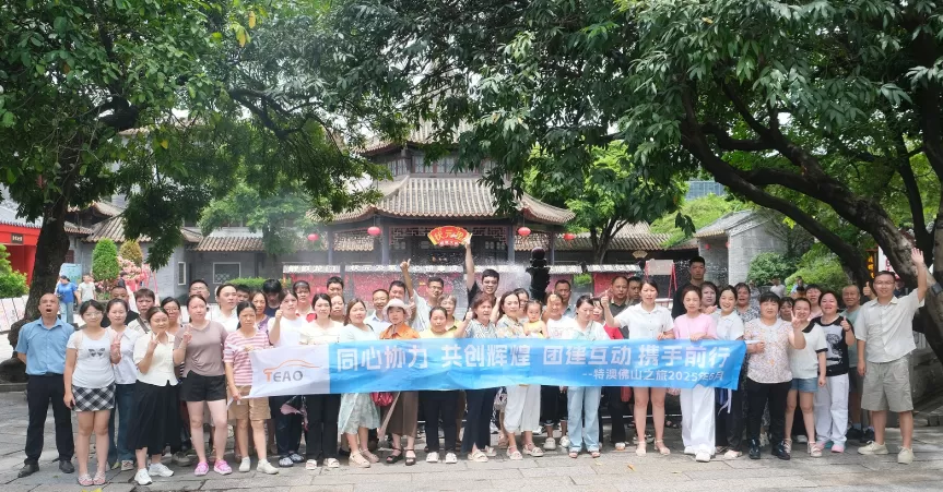 Dongguan Teao Electronic Technology Co., Ltd.